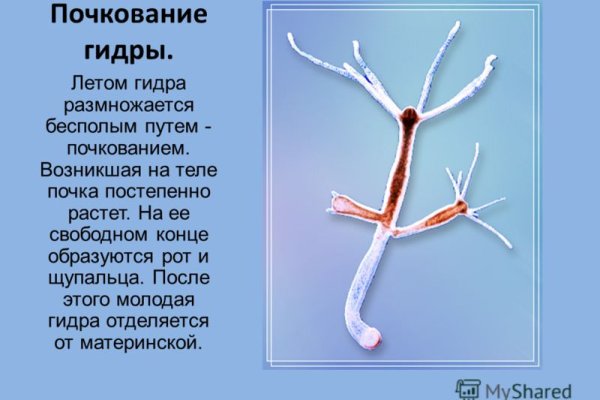 Кракен ссылка даркнет